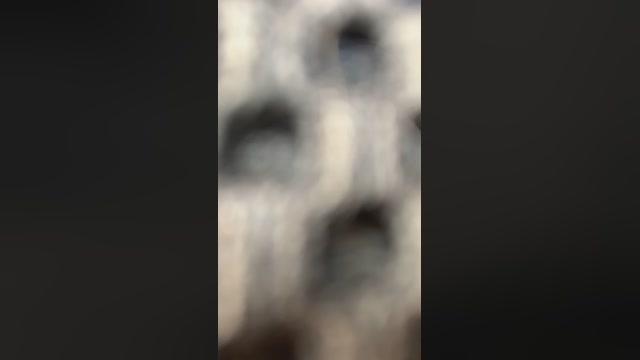 Nalex21cm  15-10-2022 Recorded Video suckshow