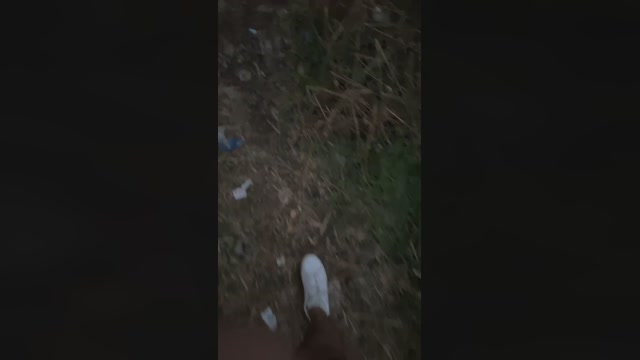 pellinkio  14-10-2022 Recorded Video lick