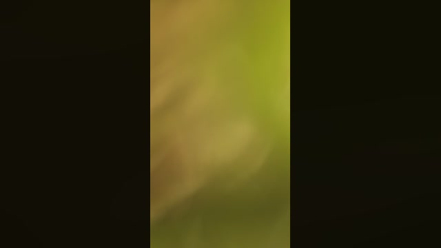 scorpion_queen1 14-10-2022 jerkoff 