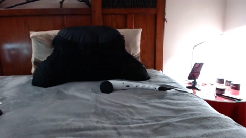 shaunny6  15-10-2022 video nasty