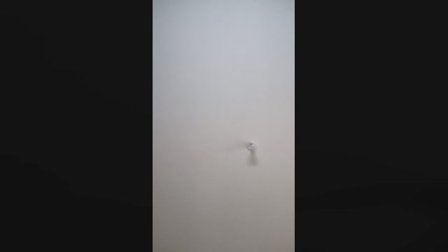 Elevadort