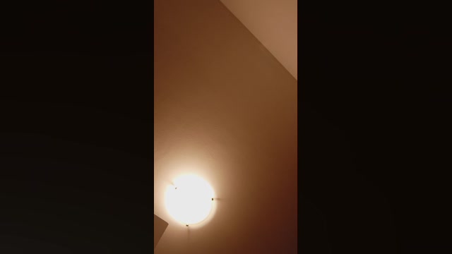 Annawow 16-10-2022 play 