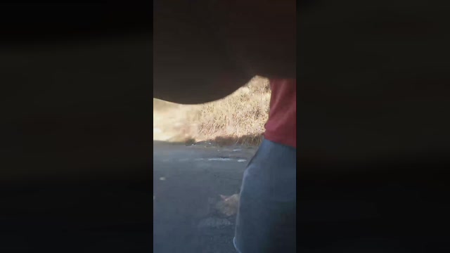 Truck_sex  17-10-2022 Recorded Video sexykitty
