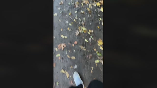 jenkster  17-10-2022 Recorded Video ass