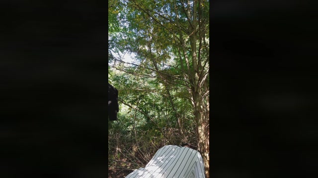 themadHatter90  17-10-2022 Recorded Video nasty