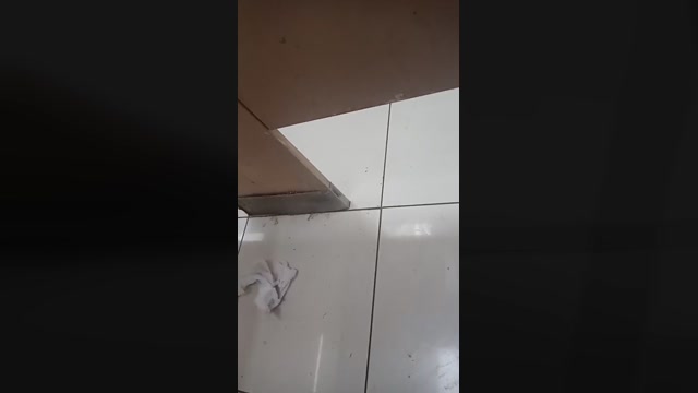 Julio271269  17-10-2022 Recorded Video moan