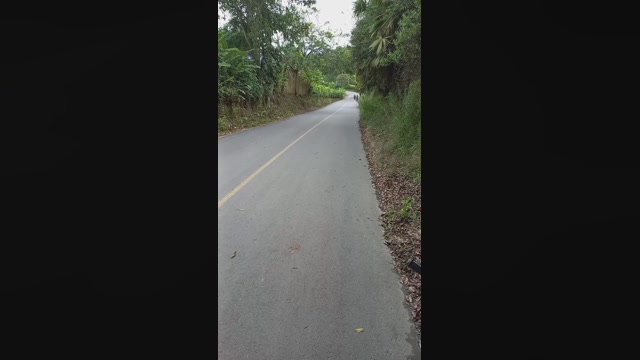 stevmare  17-10-2022 Recorded Video jerking