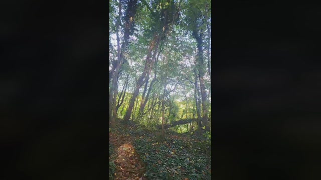 Friskfyr49  20-10-2022 Recorded Video natural