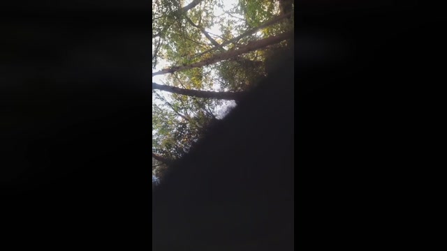 Morenosp2021  19-10-2022 Recorded Video big