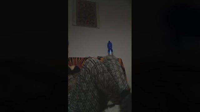 SweetMollyTek23