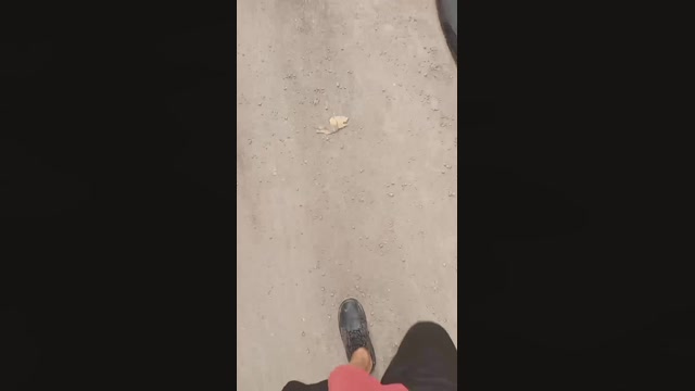 Truck_sex  20-10-2022 Recorded Video bigload
