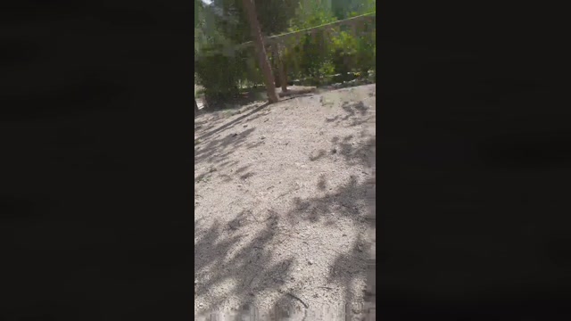 Jorgec01  21-10-2022 Recorded Video blowjob