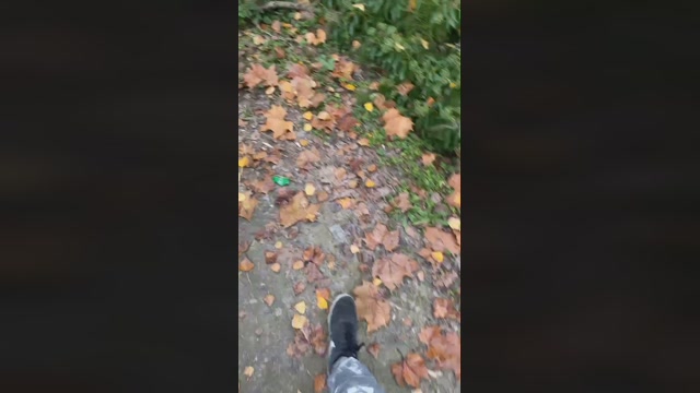 Lucifer6602  22-10-2022 Recorded Video handsome