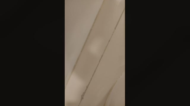 Novinho19vige2  21-10-2022 Recorded Video Webcam