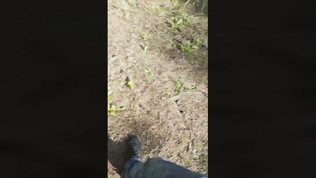 matriciummm  22-10-2022 Recorded Video fuckass