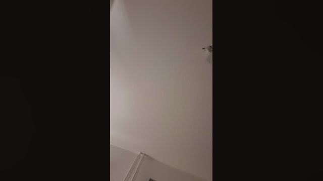 PattiQueen 22-10-2022 bj-dildo 