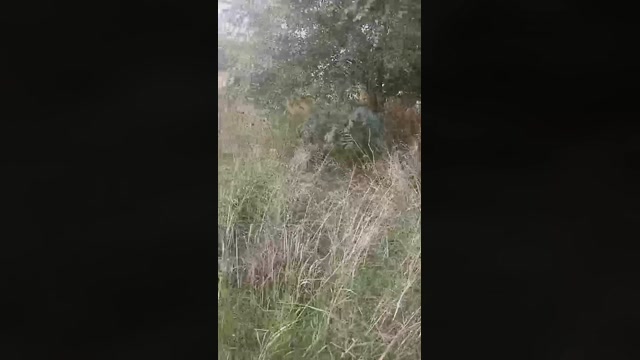 marcoroma57  22-10-2022 Recorded Video big