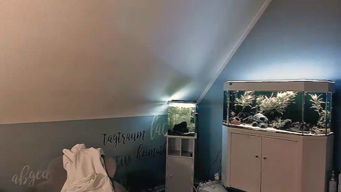 ronhill13  22-10-2022 Recorded Video kinky