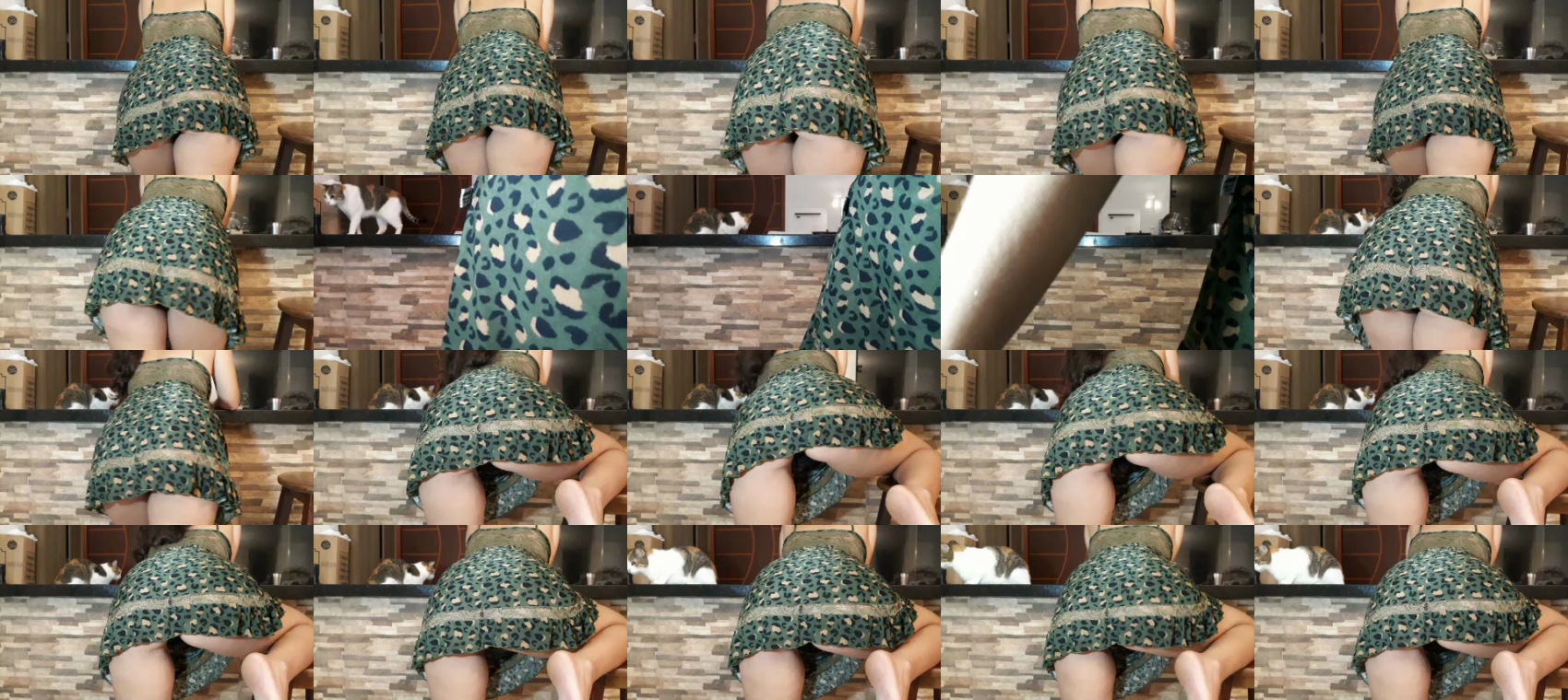 Preview