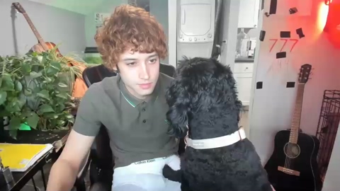 bashful4200  24-10-2022 video Download