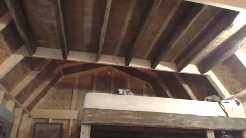 bryancavallo  25-10-2022 video kiss