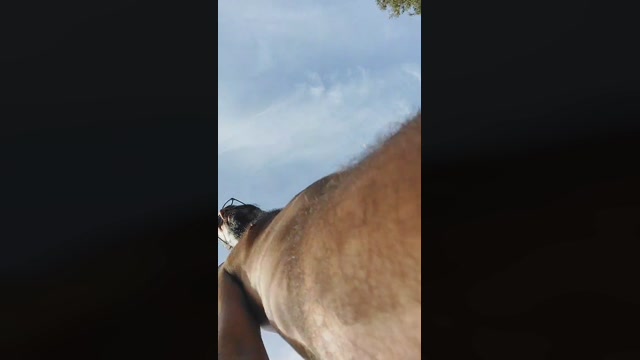 raboadicto  25-10-2022 Recorded Video bigtoys
