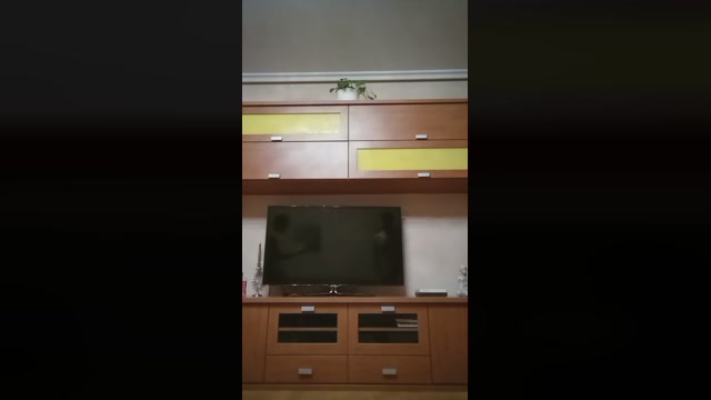 Badbig2  25-10-2022 Recorded Video strip