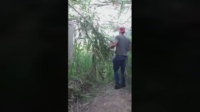 Synbaherrera  25-10-2022 Recorded Video prettyface