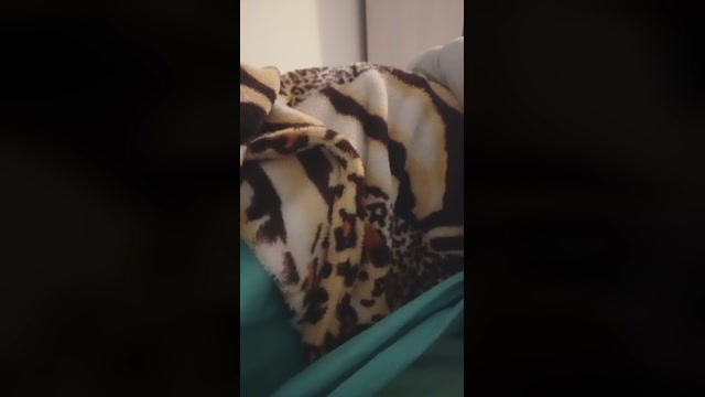 miputitta 26-10-2022 pussy 
