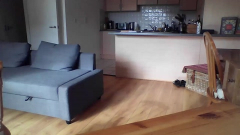 shaggytopple  27-10-2022 video nasty