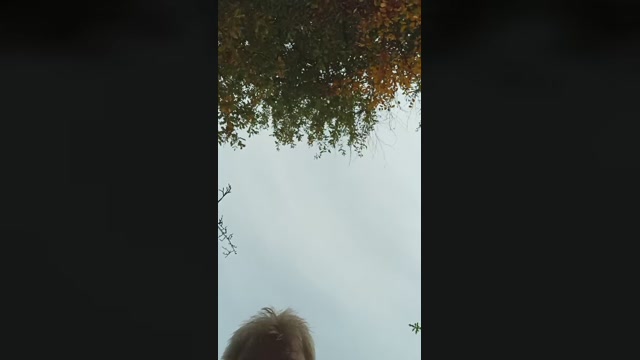 rudi79  28-10-2022 Recorded Video Video