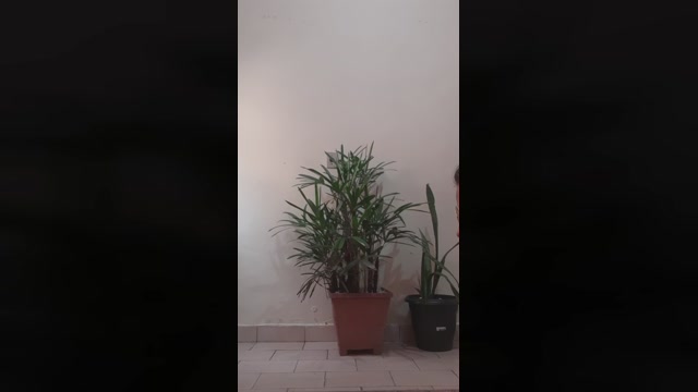 HOTDELICIA86