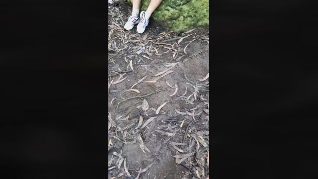0crisweisk0  30-10-2022 Recorded Video sweet