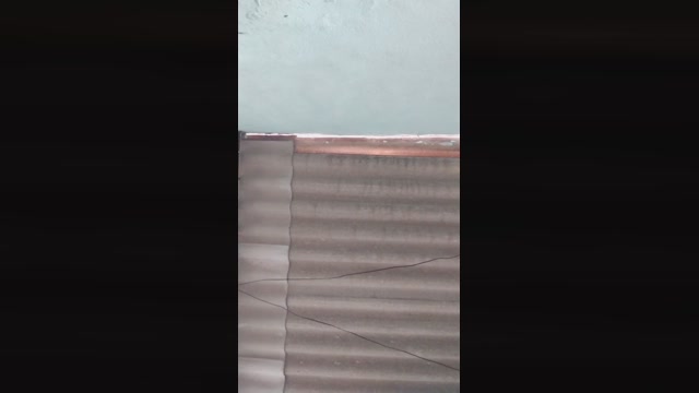 Roludogato7  29-10-2022 Recorded Video bigload