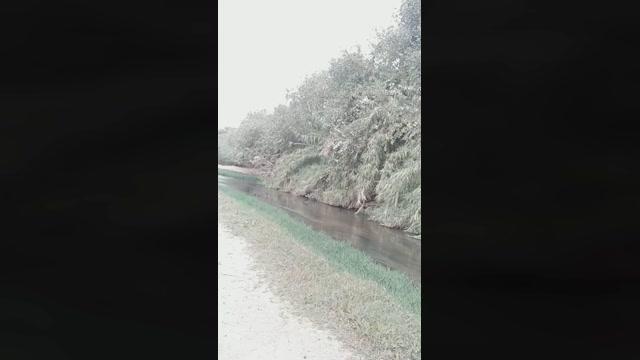 Seloloko  30-10-2022 Recorded Video sex