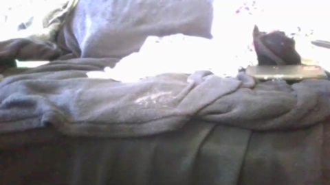 clapingrandy  30-10-2022 Porn Females