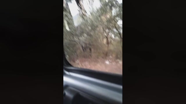 osillllo  30-10-2022 Recorded Video fuckface