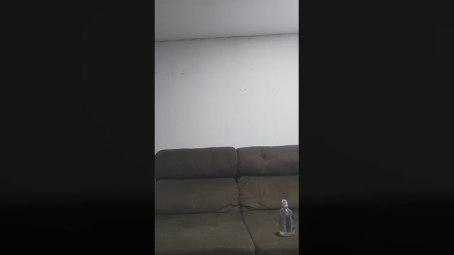 Patty_jp