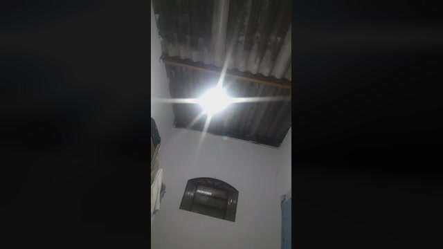 Gatinho1991  31-10-2022 Recorded Video oral