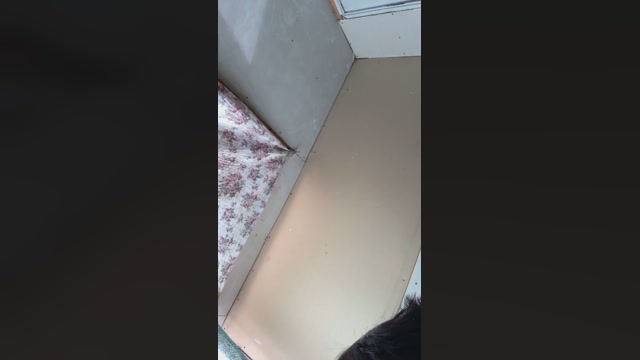 parejaLiberal25 01-11-2022 jerkoff 