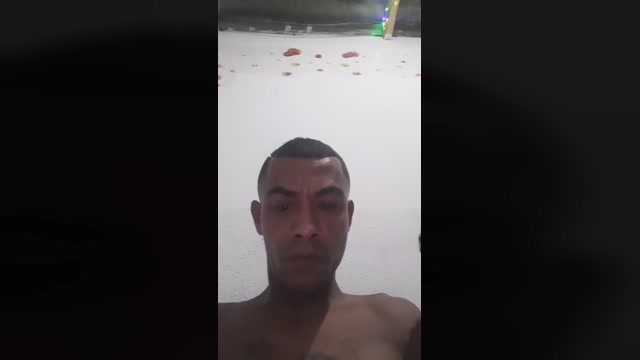 Gatinho1991