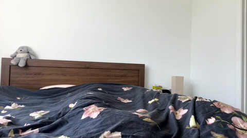 ironbutterfly69  01-11-2022 video toy