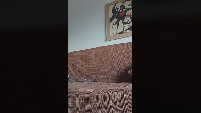 SexJeux 03-11-2022 bj-dildo 