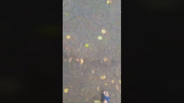 Truck_sex  03-11-2022 Recorded Video kissing