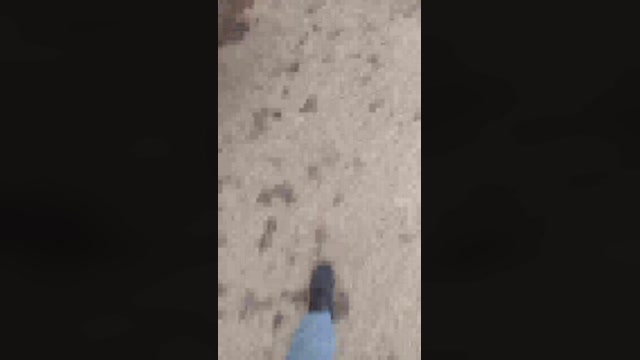 Truck_sex  05-11-2022 Recorded Video Ass