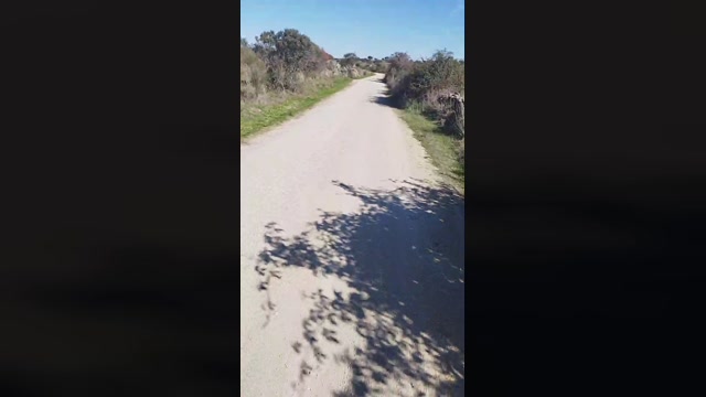 alaplaya3  06-11-2022 Recorded Video Video