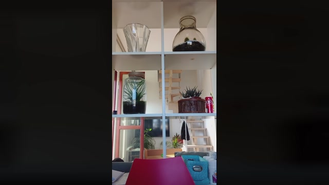 lamberto91  06-11-2022 Recorded Video fingers