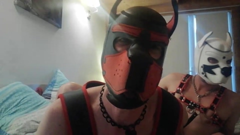woof2  06-11-2022 Recorded Video big