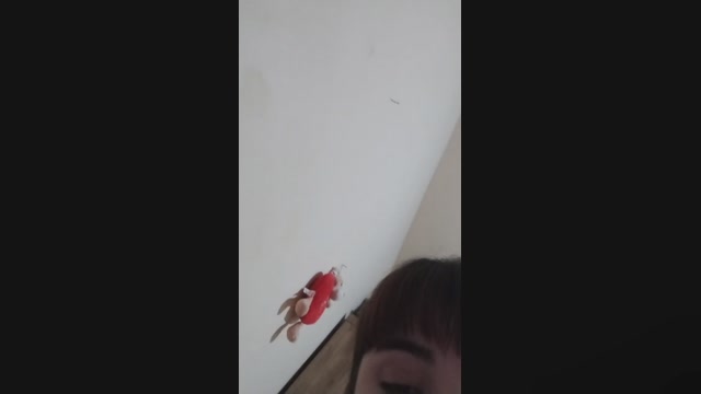 ElbiEllaBi 06-11-2022 blowjob 