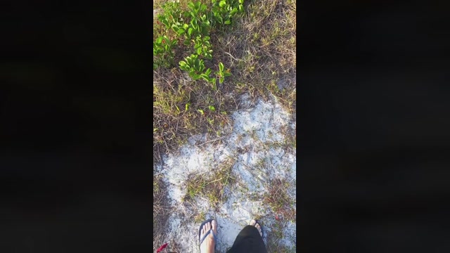 Jebagulosa  06-11-2022 Recorded Video harddick
